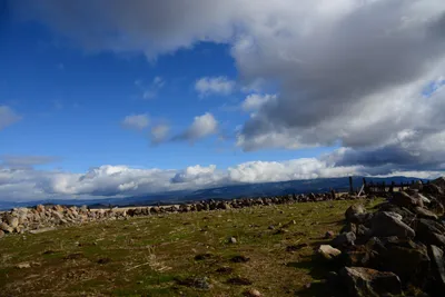 DSC_2900 (Large).JPG